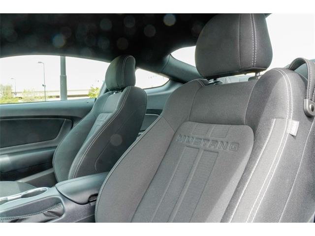 2021 Ford Mustang (CC-2074535) for sale in Ramsey, Minnesota