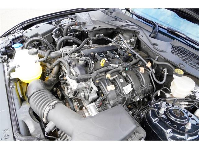 2021 Ford Mustang (CC-2074535) for sale in Ramsey, Minnesota