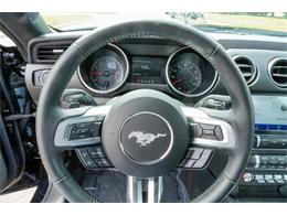 2021 Ford Mustang (CC-2074535) for sale in Ramsey, Minnesota