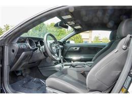 2021 Ford Mustang (CC-2074535) for sale in Ramsey, Minnesota