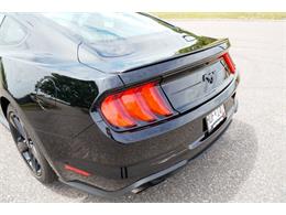 2021 Ford Mustang (CC-2074535) for sale in Ramsey, Minnesota