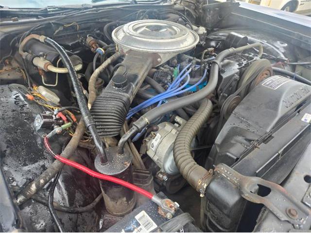 1979 Mercury Cougar (CC-2074537) for sale in Cadillac, Michigan