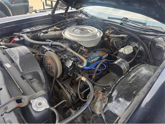 1979 Mercury Cougar (CC-2074537) for sale in Cadillac, Michigan