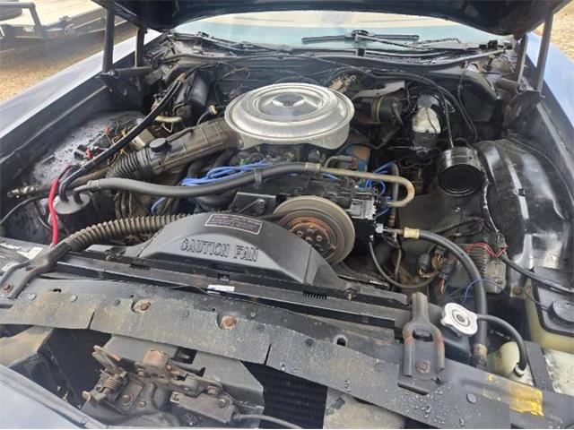 1979 Mercury Cougar (CC-2074537) for sale in Cadillac, Michigan