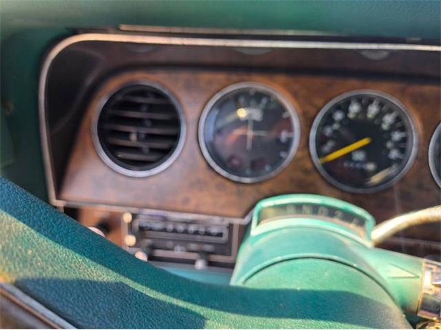 1978 Ford Thunderbird (CC-2074538) for sale in Cadillac, Michigan