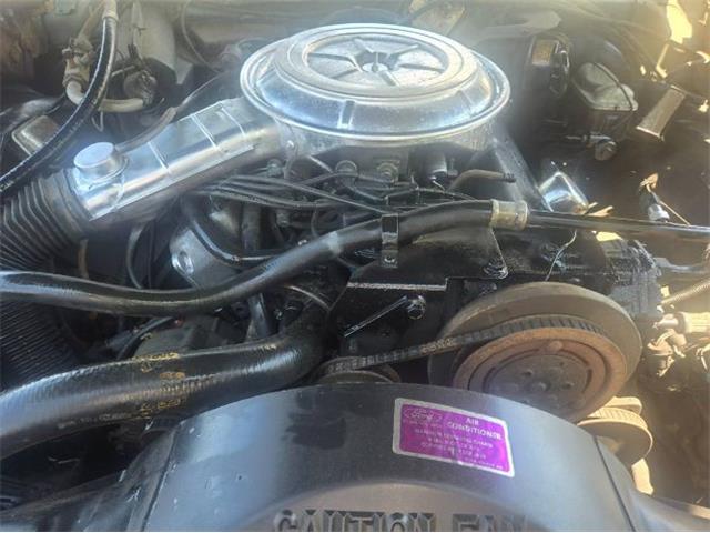 1978 Ford Thunderbird (CC-2074538) for sale in Cadillac, Michigan