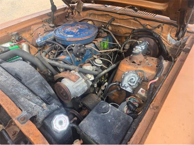 1975 Ford Granada (CC-2074541) for sale in Cadillac, Michigan