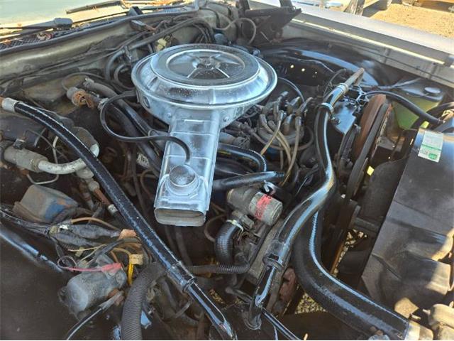 1978 Ford LTD (CC-2074565) for sale in Cadillac, Michigan