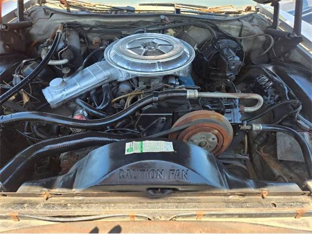 1978 Ford LTD (CC-2074565) for sale in Cadillac, Michigan