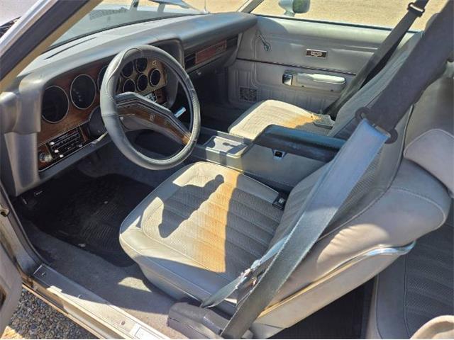 1978 Ford LTD (CC-2074565) for sale in Cadillac, Michigan