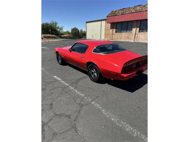 1979 Pontiac Firebird (CC-2074572) for sale in Cadillac, Michigan