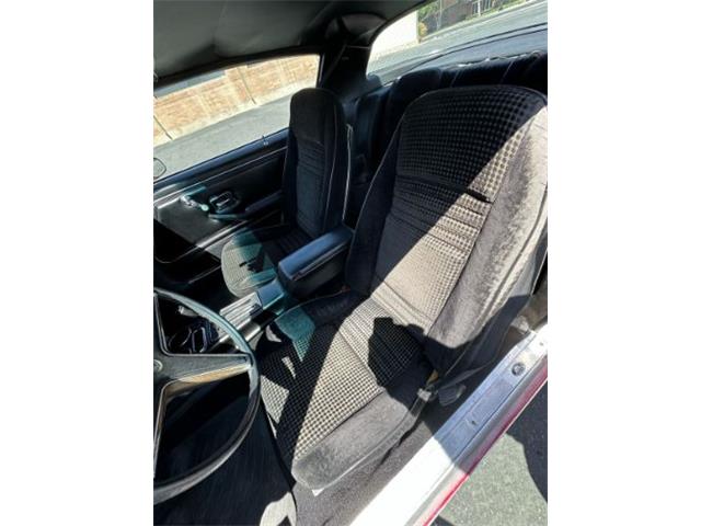 1979 Pontiac Firebird (CC-2074572) for sale in Cadillac, Michigan