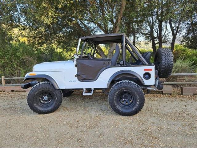 1972 Jeep CJ5 (CC-2074574) for sale in Cadillac, Michigan