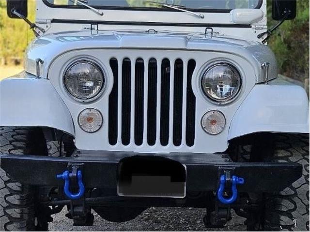 1972 Jeep CJ5 (CC-2074574) for sale in Cadillac, Michigan