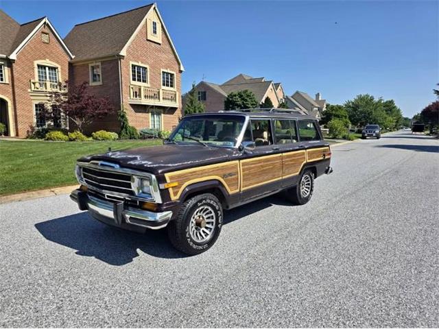 1989 Jeep Grand Wagoneer (CC-2074577) for sale in Cadillac, Michigan