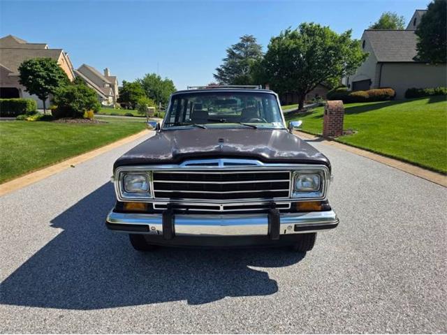 1989 Jeep Grand Wagoneer (CC-2074577) for sale in Cadillac, Michigan