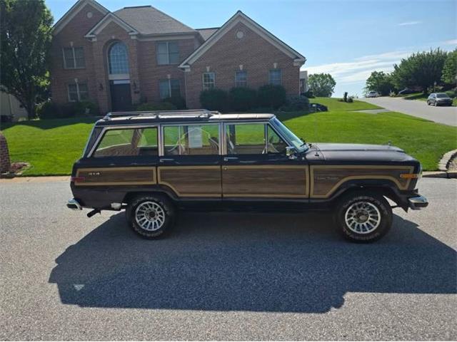 1989 Jeep Grand Wagoneer (CC-2074577) for sale in Cadillac, Michigan