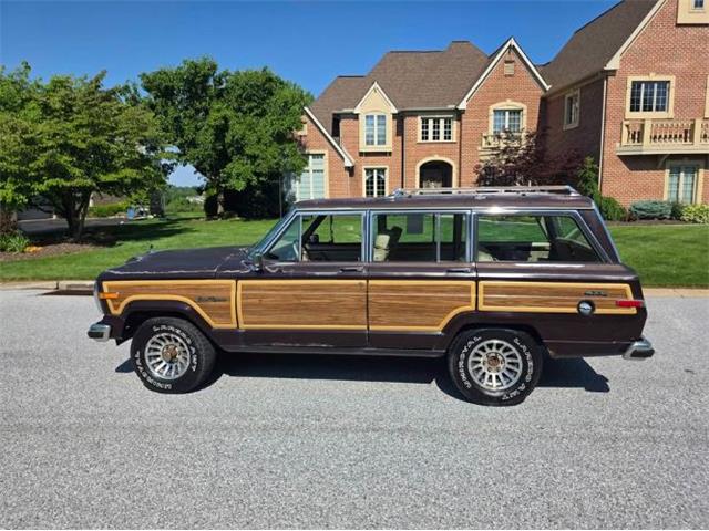 1989 Jeep Grand Wagoneer (CC-2074577) for sale in Cadillac, Michigan