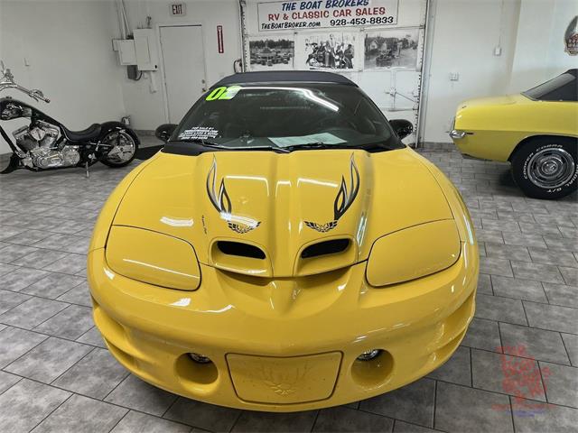 2002 Pontiac Firebird Trans Am (CC-2074641) for sale in Lake Havasu, Arizona