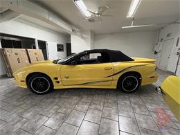 2002 Pontiac Firebird Trans Am (CC-2074641) for sale in Lake Havasu, Arizona