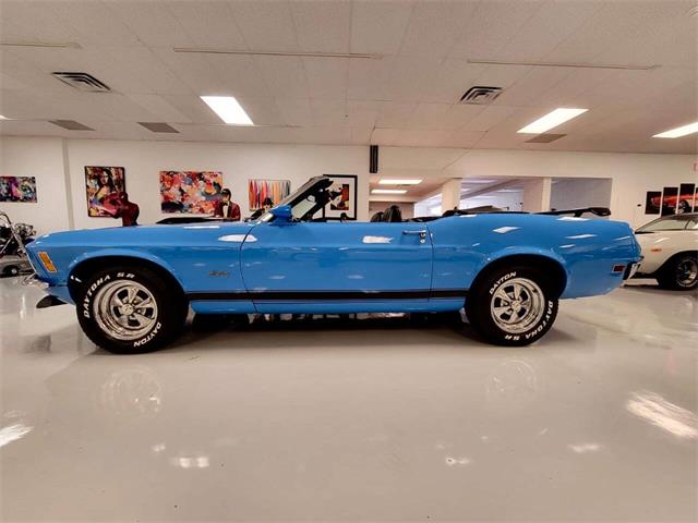 1970 Ford Mustang (CC-2074681) for sale in Dekalb, Illinois