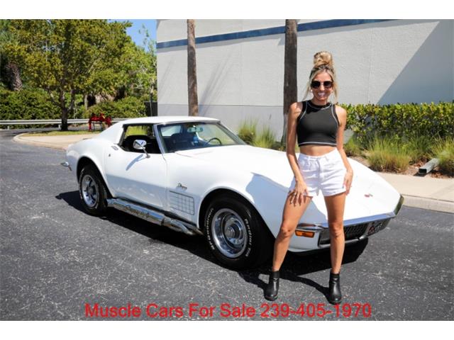 1971 Chevrolet Corvette (CC-2070471) for sale in Fort Myers, Florida