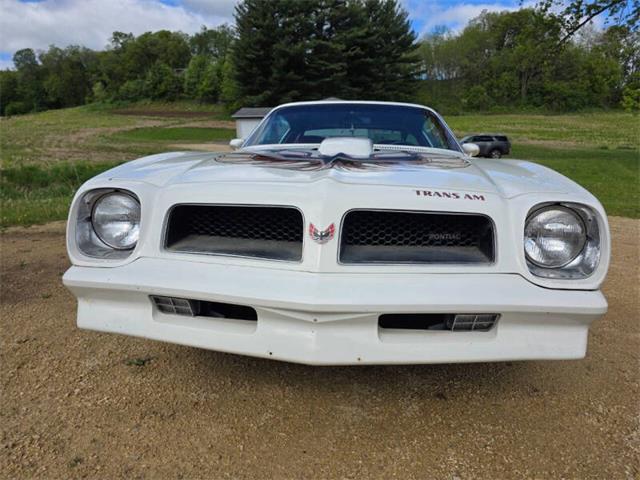 1975 Pontiac Firebird Trans Am (CC-2074730) for sale in Waconia, Minnesota