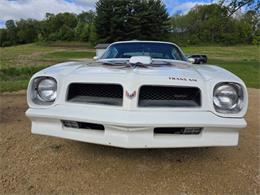 1975 Pontiac Firebird Trans Am (CC-2074730) for sale in Waconia, Minnesota