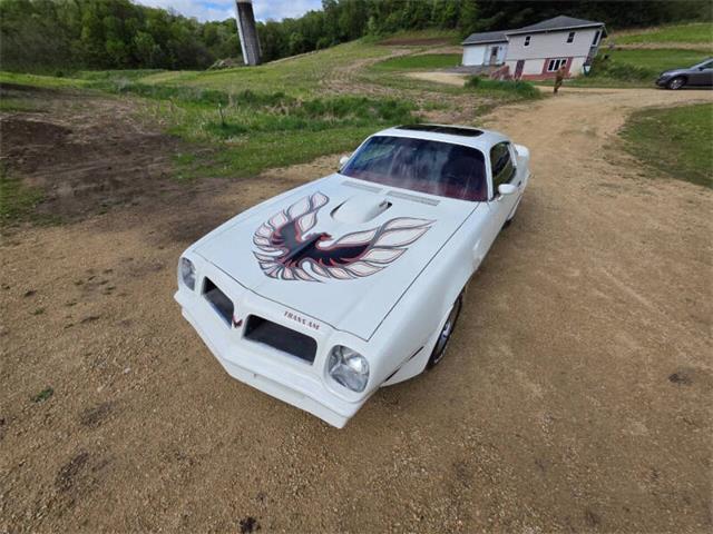 1975 Pontiac Firebird Trans Am (CC-2074730) for sale in Waconia, Minnesota