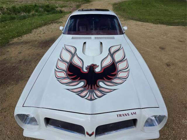 1975 Pontiac Firebird Trans Am (CC-2074730) for sale in Waconia, Minnesota