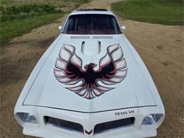 1975 Pontiac Firebird Trans Am (CC-2074730) for sale in Waconia, Minnesota