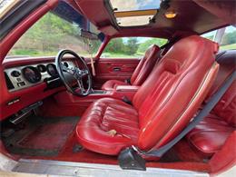 1975 Pontiac Firebird Trans Am (CC-2074730) for sale in Waconia, Minnesota