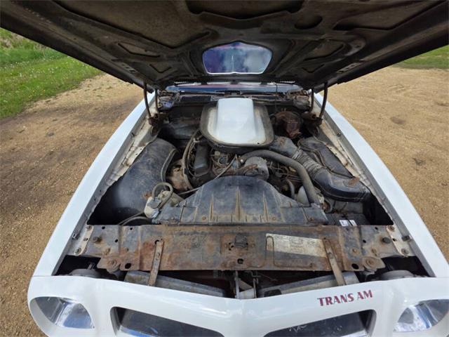 1975 Pontiac Firebird Trans Am (CC-2074730) for sale in Waconia, Minnesota