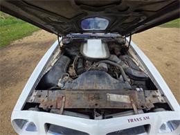 1975 Pontiac Firebird Trans Am (CC-2074730) for sale in Waconia, Minnesota