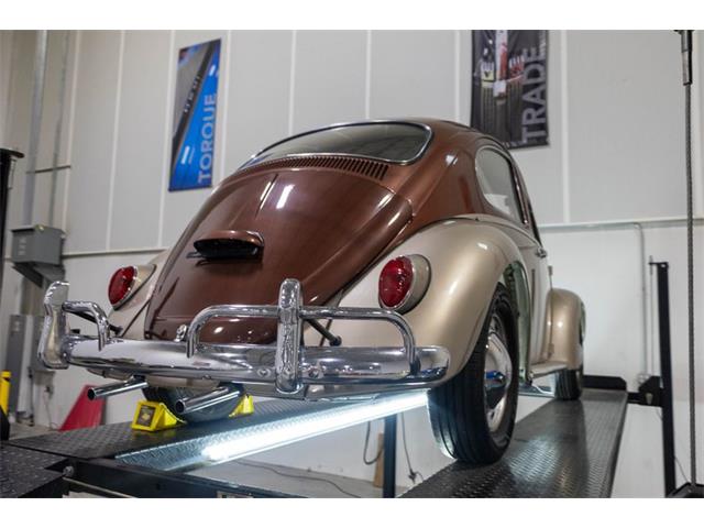 1965 Volkswagen Beetle (CC-2074785) for sale in Kentwood, Michigan