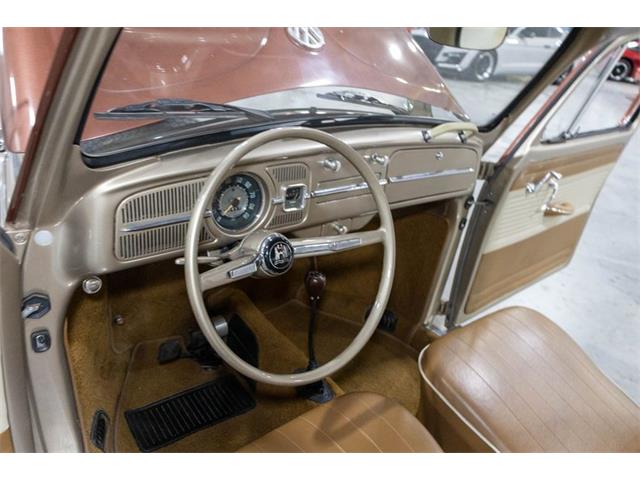 1965 Volkswagen Beetle (CC-2074785) for sale in Kentwood, Michigan