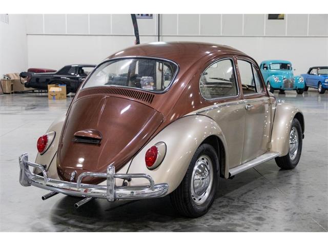 1965 Volkswagen Beetle (CC-2074785) for sale in Kentwood, Michigan