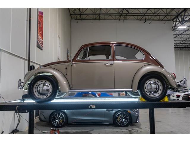 1965 Volkswagen Beetle (CC-2074785) for sale in Kentwood, Michigan