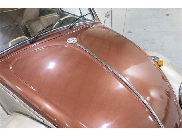 1965 Volkswagen Beetle (CC-2074785) for sale in Kentwood, Michigan