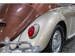 1965 Volkswagen Beetle (CC-2074785) for sale in Kentwood, Michigan