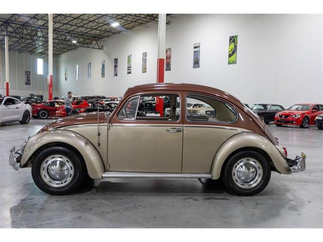 1965 Volkswagen Beetle (CC-2074785) for sale in Kentwood, Michigan