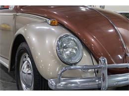 1965 Volkswagen Beetle (CC-2074785) for sale in Kentwood, Michigan