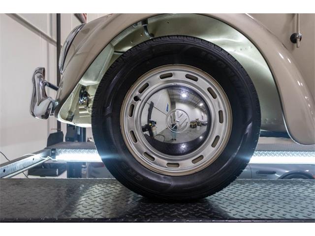 1965 Volkswagen Beetle (CC-2074785) for sale in Kentwood, Michigan