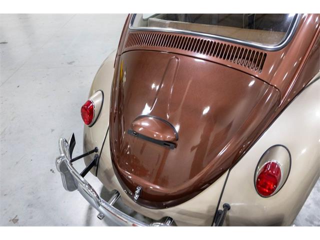 1965 Volkswagen Beetle (CC-2074785) for sale in Kentwood, Michigan