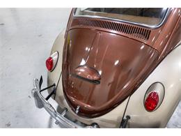 1965 Volkswagen Beetle (CC-2074785) for sale in Kentwood, Michigan