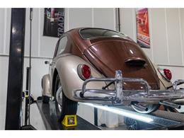 1965 Volkswagen Beetle (CC-2074785) for sale in Kentwood, Michigan