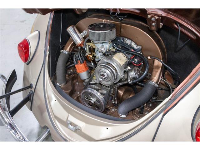 1965 Volkswagen Beetle (CC-2074785) for sale in Kentwood, Michigan