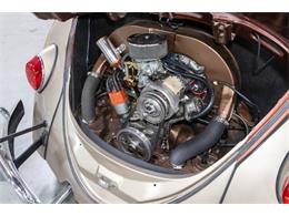 1965 Volkswagen Beetle (CC-2074785) for sale in Kentwood, Michigan