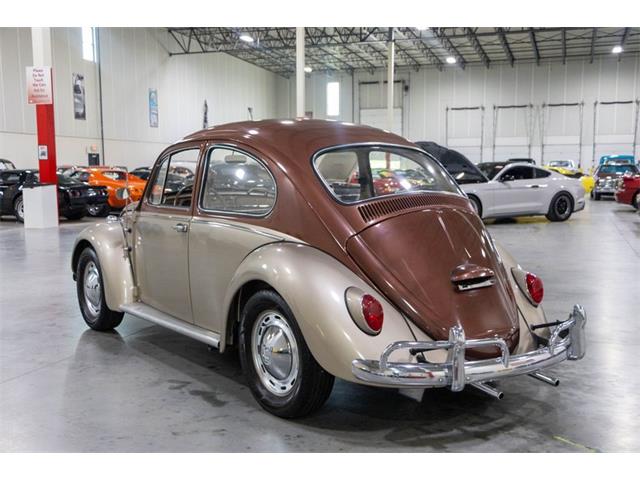 1965 Volkswagen Beetle (CC-2074785) for sale in Kentwood, Michigan