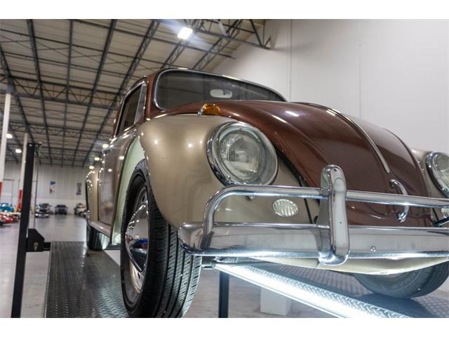 1965 Volkswagen Beetle (CC-2074785) for sale in Kentwood, Michigan
